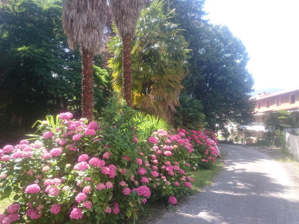 Hotel Le Mas Fleuri Vernet-les-Bains Esterno foto