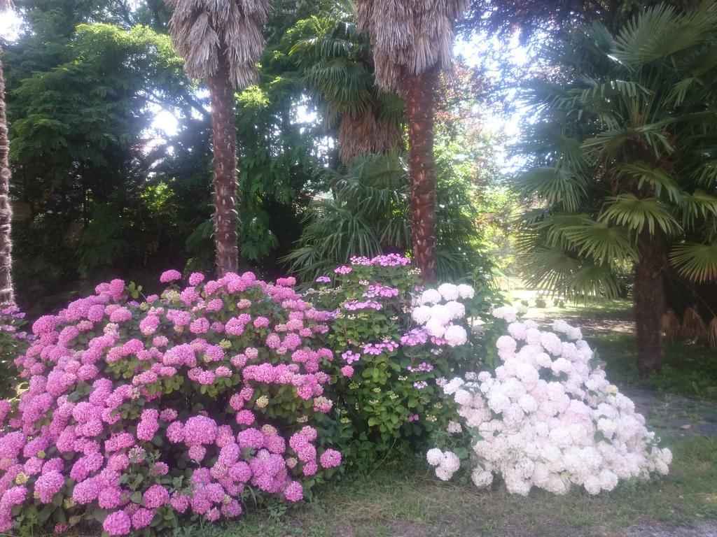 Hotel Le Mas Fleuri Vernet-les-Bains Esterno foto