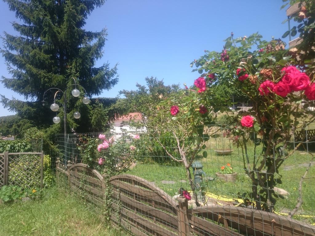 Hotel Le Mas Fleuri Vernet-les-Bains Esterno foto